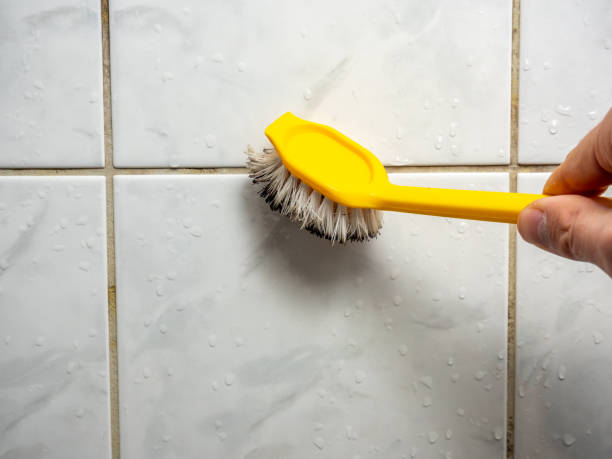 Best Mold Damage Repair  in Waikapu, HI