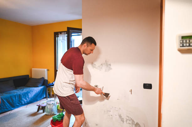 Best Residential Mold Removal  in Waikapu, HI